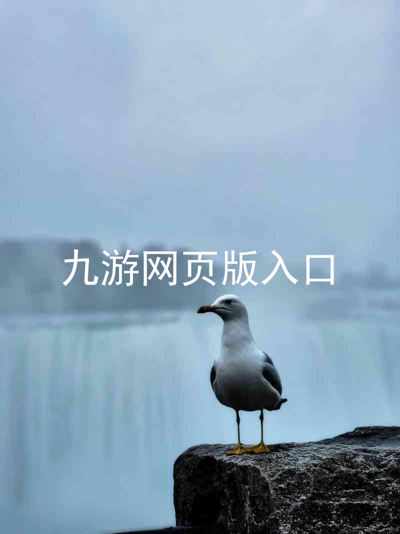 九游网页版入口